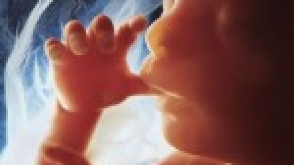 ASV atceļ prezidenta Trampa aizliegumu veikt pētījumus ar abortētu bērnu audiem