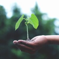 Apvienotajā Karalistē labdarības organizācija Stewardship pirmo reizi izdalījusi miljons dotāciju Apvienotajā Karalistē labdarības organizācija Stewardship pirmo reizi izdalījusi miljons dotāciju