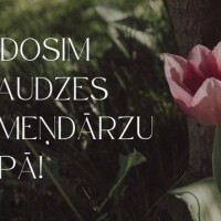 Āgenskalna dievnama ārpusē veido akmensdārzu