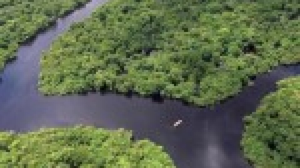 Pa Amazones upi kuģo “peldoša baznīca”