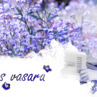 Sākas Lidijai Doroņinai-Lasmanei veltītais pasākumu cikls „Lidijas vasara”