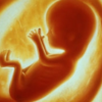 Arhibīskaps parakstījis petīciju pret ģenētiski modificētu cilvēka embriju radīšanu un iznīcināšanu