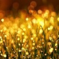 Baltezera baznīca notiks Adventa koncerts “Nakti bira zelta rasa”