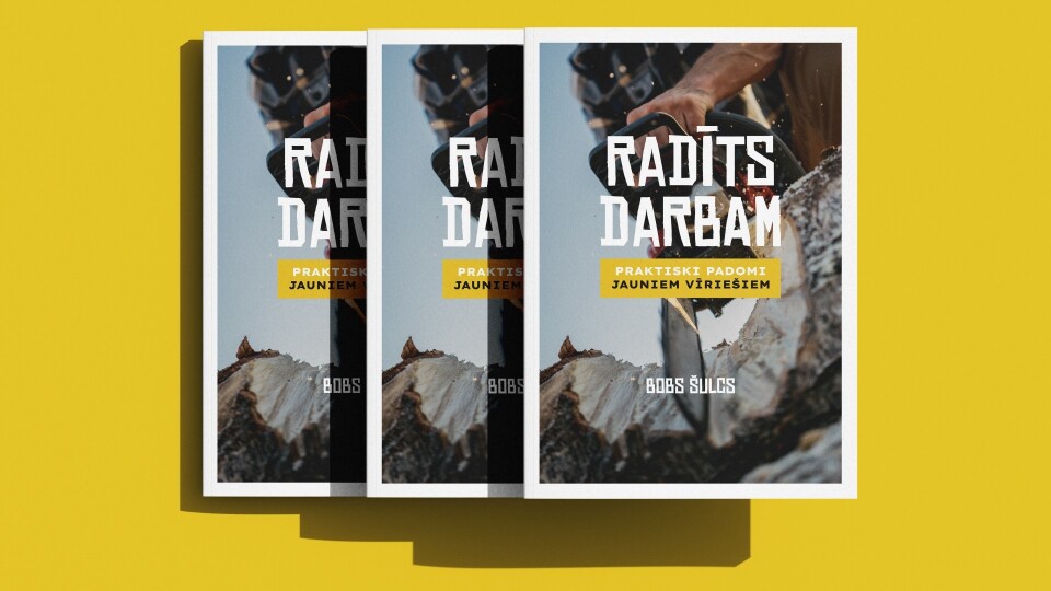 Boba Šulca grāmata “Radīts darbam” - Palīgs puišiem vīrišķībā un Dieva plāna izpratnē