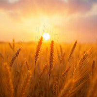 Indonēzijā norit “Arise” samits jaunās paaudzes ekipēšanai globālajā misijā