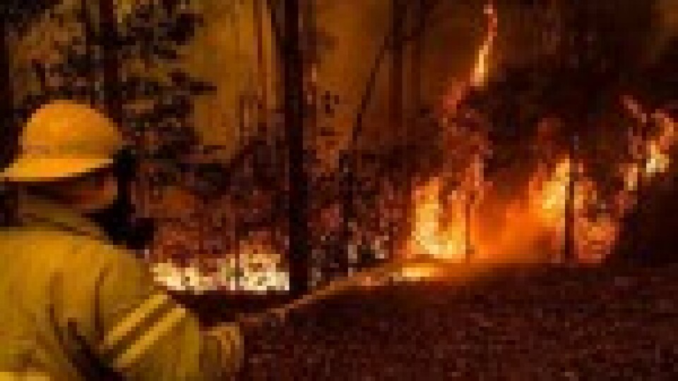 Hillsong ziedo miljonu dolāru cīņai ar Austrālijas ugunsgrēkiem