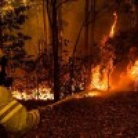 Hillsong ziedo miljonu dolāru cīņai ar Austrālijas ugunsgrēkiem