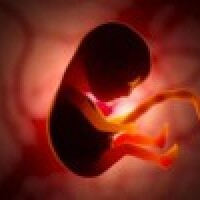 Misūri kļūst par pirmo ASV štatu, kurā vairs neveic abortus