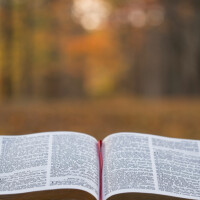 Turaidā notiks Andra Grota grāmatas „Ticības bruņas” atklāšana Turaidā notiks Andra Grota grāmatas „Ticības bruņas” atklāšana
