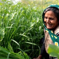 Indijā sniedz palīdzību 50 kristiešiem lauksaimniekiem