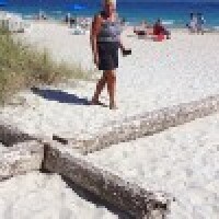 Floridas pludmalē izskalots sešus metrus garš krusts