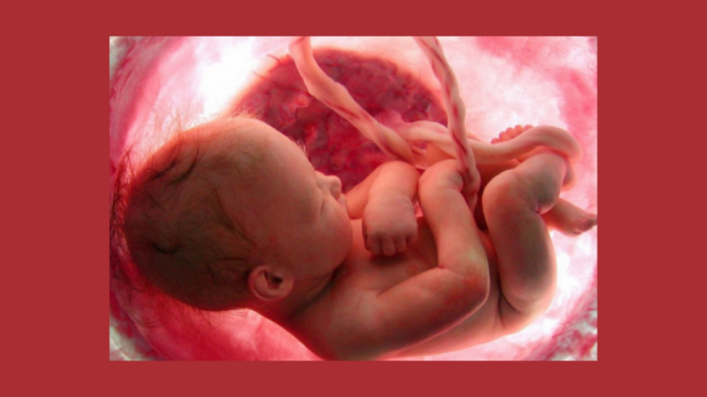 Aborts bija galvenais nāves cēlonis pasaulē 2025.gadā