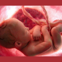 Aborts bija galvenais nāves cēlonis pasaulē 2025.gadā