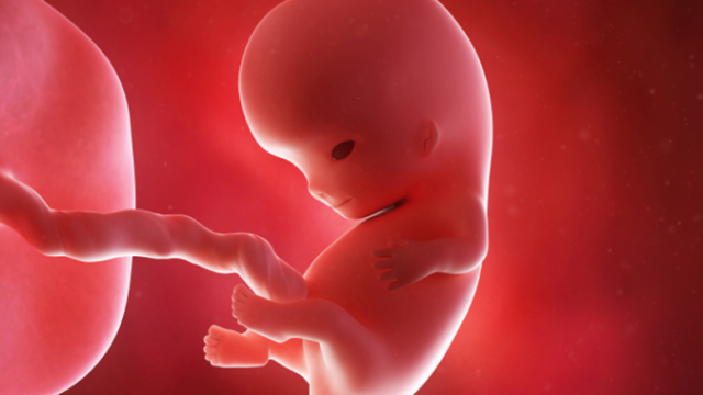 Polija noraida likumu par mazuļu nogalināšanu abortos