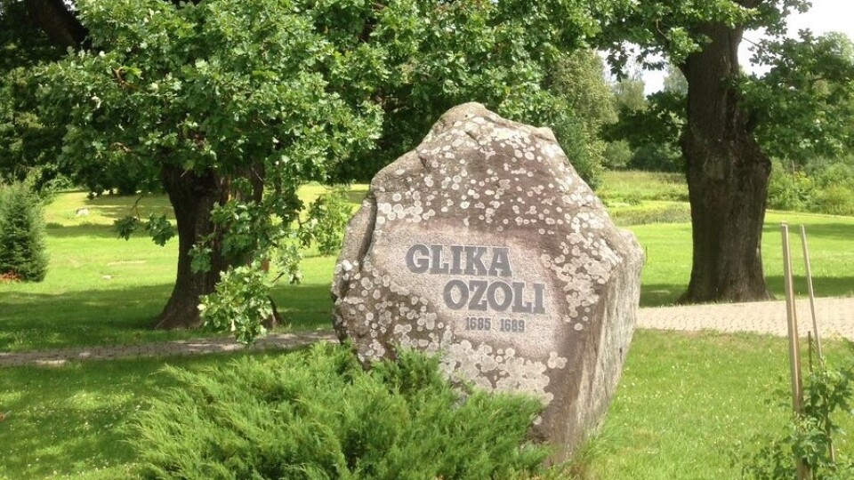 Glika ozoli Alūksnē iegūst otro vietu konkursā “Eiropas gada koks”