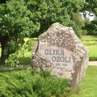 Glika ozoli Alūksnē iegūst otro vietu konkursā “Eiropas gada koks”