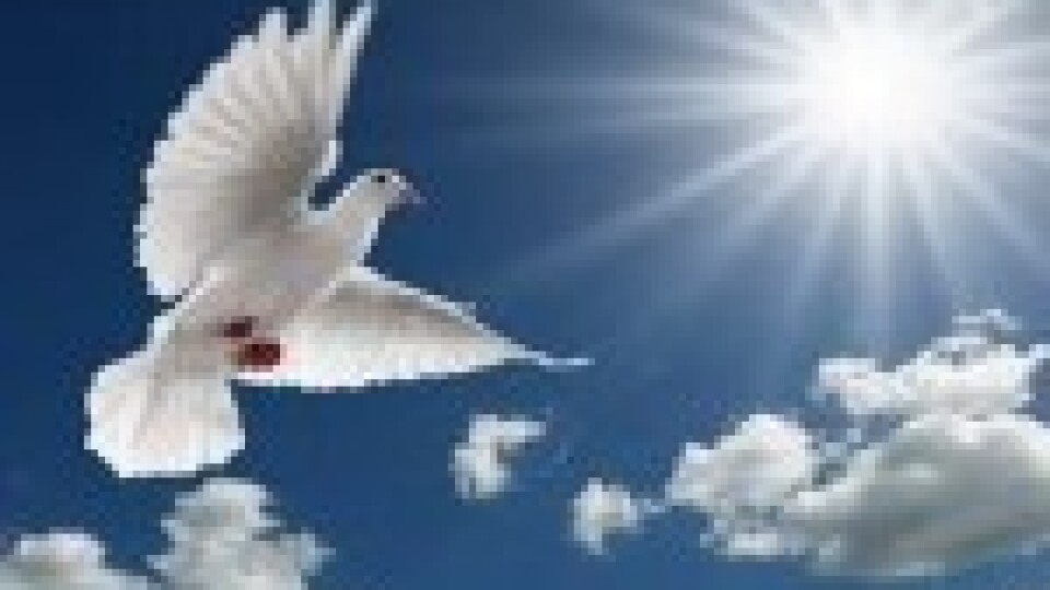 Oļegs Remezs aicina uz tiešsaistes lekcijām par Svēto Garu