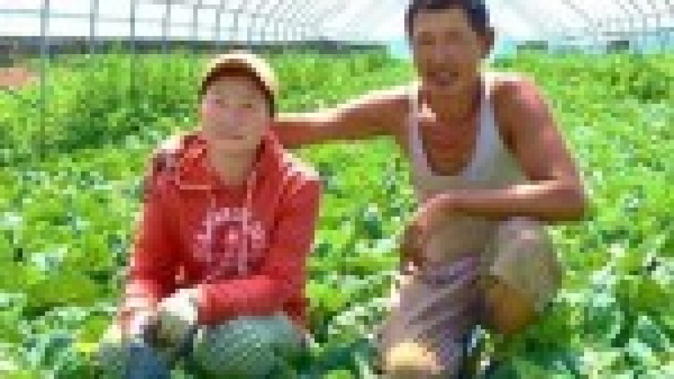 Adventisti Mongolijā iegūst gada balvu bio lauksaimniecībā 