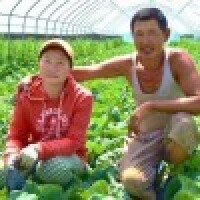 Adventisti Mongolijā iegūst gada balvu bio lauksaimniecībā 