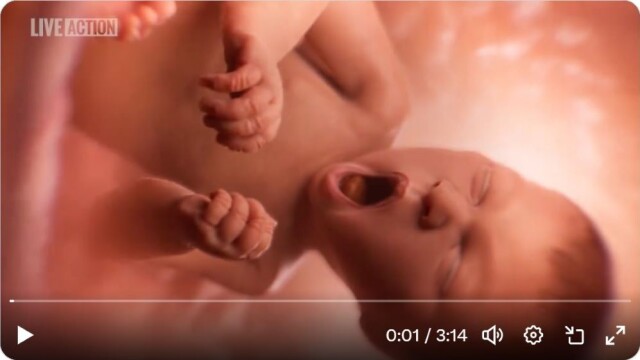 Tenesī štatā rādīs video par bērnu rašanos un attīstību mātes ķermenī