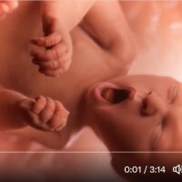Tenesī štatā rādīs video par bērnu rašanos un attīstību mātes ķermenī