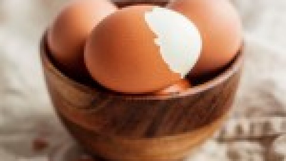 Bērni Fortalezā visu gadu saņems bezmaksas vistu olas