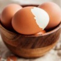 Bērni Fortalezā visu gadu saņems bezmaksas vistu olas