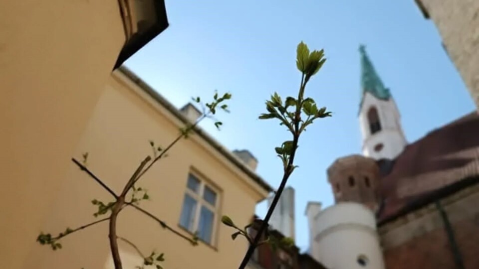 Jāņa baznīcā notiks slavēšanas vakars ar projektu „Jāņa ielas republika”