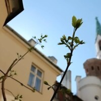 Jāņa baznīcā notiks slavēšanas vakars ar projektu „Jāņa ielas republika”